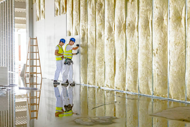 Best Residential Insulation in Lawrenceburg, KY